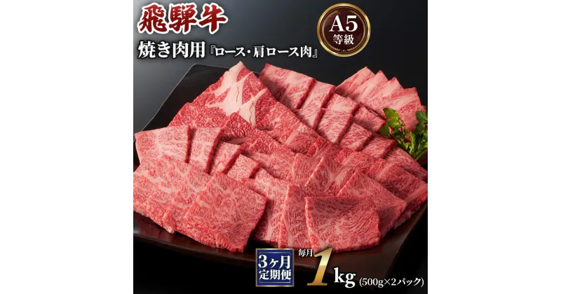 【ふるさと納税】[3ヶ月定期便][A5等級]飛騨牛焼き肉用 1kg(500g×2パック)『ロース・肩ロース肉』 本巣市 [0345] 130000円