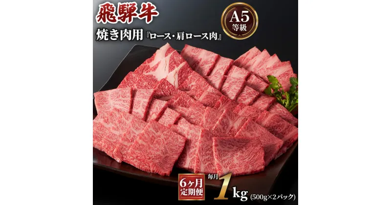 【ふるさと納税】[6ヶ月定期便][A5等級]飛騨牛焼き肉用 1kg(500g×2パック)『ロース・肩ロース肉』 本巣市 [0346] 260000円