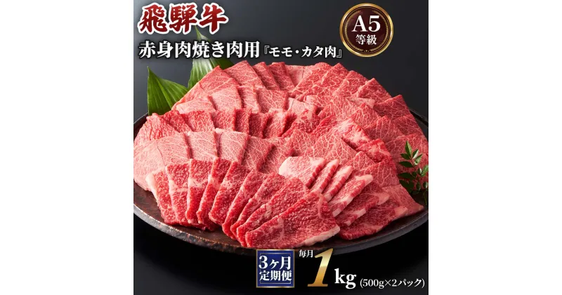 【ふるさと納税】[3ヶ月定期便][A5等級]飛騨牛赤身肉焼き肉用 1kg(500g×2パック)『モモ・カタ肉』 本巣市 [0349] 97000円