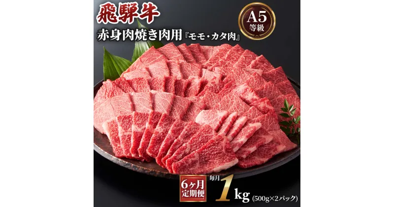 【ふるさと納税】[6ヶ月定期便][A5等級]飛騨牛赤身肉焼き肉用 1kg(500g×2パック)『モモ・カタ肉』 本巣市 [0350] 193000円