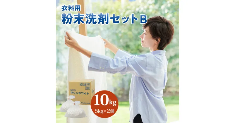 【ふるさと納税】[生活応援] 粉末洗剤 セットB(衣料用 5kg×2個) 日用品 洗濯洗剤 洗濯用洗剤 溶けやすい 洗浄 襟 袖 服 消耗品 消臭 詰替 蛍光増白剤不使用 抗菌 まとめ買い 酵素 洗浄力 汚れ落ち 業務用 家庭用 [0579] 12000円