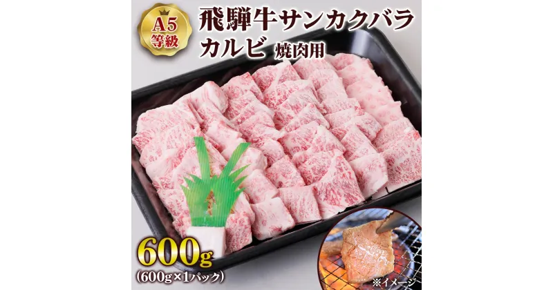 【ふるさと納税】 [A5等級] 飛騨牛サンカクバラカルビ焼き肉用600g トキノ屋食品 本巣市 [0860] 33000円