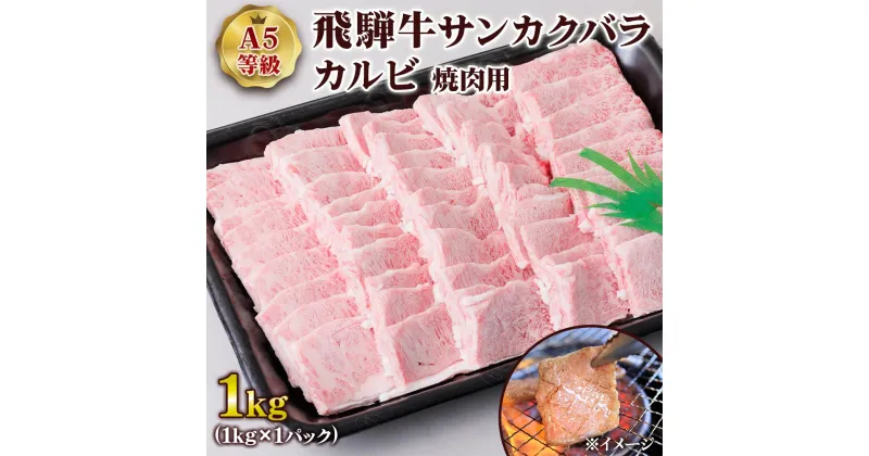 【ふるさと納税】 [A5等級] 飛騨牛サンカクバラカルビ焼き肉用1kg トキノ屋食品 本巣市 [0861] 54000円