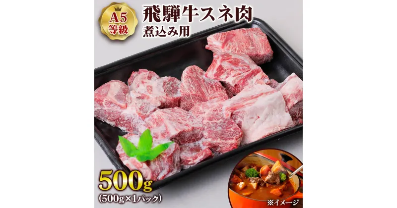 【ふるさと納税】 [A5等級] 飛騨牛スネ肉煮込み用 500g 飛騨牛 国産牛 和牛 黒毛和牛 A5 a5 5等級 スネ すね カレー用 シチュー用 スープ 冷凍 煮込み用 角切り 肉トキノ屋食品 本巣市 [0862] 11000円