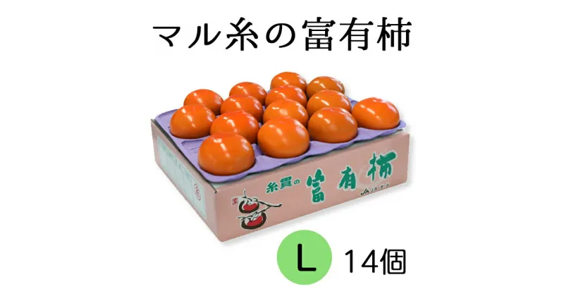 【ふるさと納税】【先行予約】令和6年産《柿の王様》マル糸の 富有柿 Lサイズ ( 14個入 ) 11月下旬より発送予定 [mt703_24]｜かき 富有柿 ふゆうがき フルーツ カキ 果物 くだもの 産地直送 岐阜県 本巣市 15000円