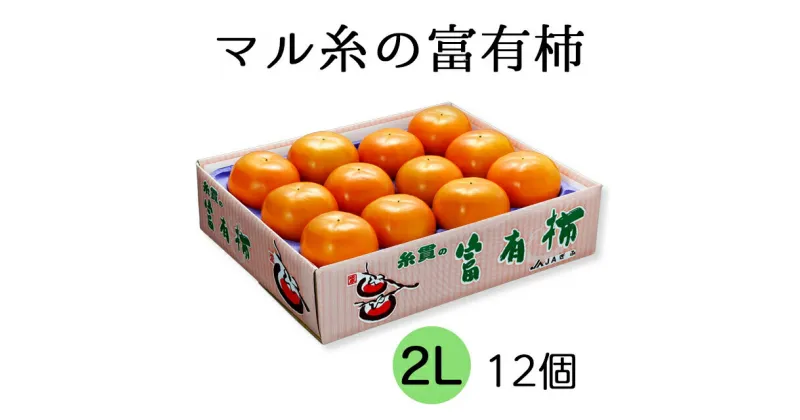 【ふるさと納税】【先行予約】令和6年産《柿の王様》マル糸の 富有柿 2L サイズ( 12個入 ) 11月下旬より発送予定 [mt188]｜かき 富有柿 ふゆうがき フルーツ カキ 果物 くだもの 産地直送 岐阜県 本巣市 特産品 旬 20000円