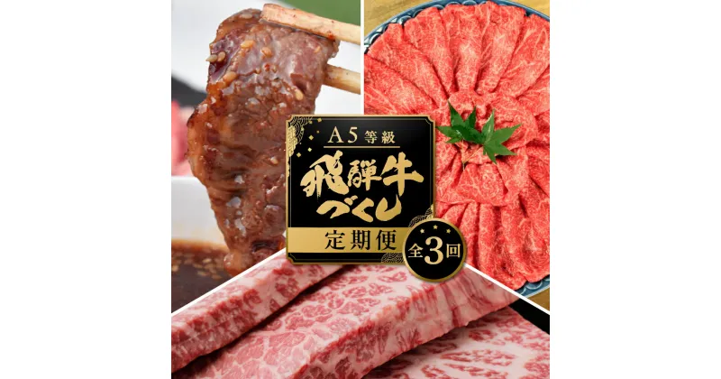 【ふるさと納税】【定期便】A5 飛騨牛 3回 定期便 計 1.9kg 3ヶ月 食べ比べ A5等級 5等級 a5 牛肉 肉 和牛 国産牛 黒毛和牛 焼肉 すき焼き しゃぶしゃぶ ステーキ 赤身 霜降り お楽しみ トキノ屋食品 本巣市 [mt001] 65000円