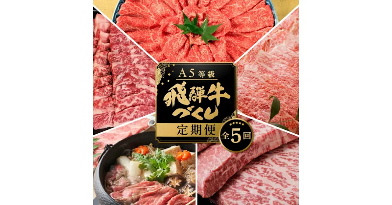 【ふるさと納税】【定期便】A5 飛騨牛 5回 定期便 計 3.2kg 5ヶ月 食べ比べ A5等級 5等級 a5 牛肉 肉 和牛 国産牛 黒毛和牛 焼肉 すき焼き しゃぶしゃぶ ステーキ 赤身 霜降り お楽しみ トキノ屋食品 本巣市 [mt002] 108000円