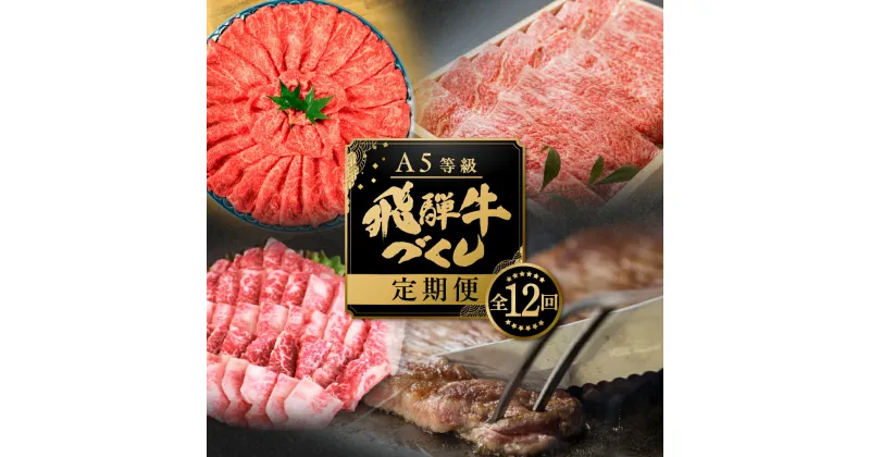 【ふるさと納税】【定期便】A5 飛騨牛 12回 定期便 計 7.7kg 12ヶ月 食べ比べ 1年 年間 牛肉 肉 和牛 国産牛 黒毛和牛 焼肉 すき焼き しゃぶしゃぶ ステーキ 赤身 霜降り サーロイン お楽しみ トキノ屋食品 本巣市 [mt003] 279000円