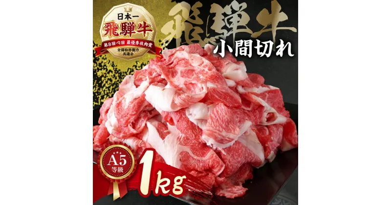 【ふるさと納税】【訳あり】A5等級 飛騨牛 小間切れ 500g × 2 計 1kg a5 5等級 牛肉 肉 和牛 黒毛和牛 国産牛 こまぎれ こま切れ 細切れ 1キロ わけあり ワケアリ 冷凍 小分け 本巣市 小川ミート 岐阜 本巣市 [mt1043] 17000円