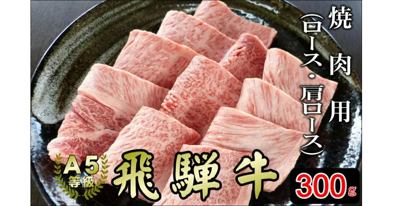 【ふるさと納税】[A5等級]飛騨牛焼き肉用 300g『ロース・肩ロース肉』【焼肉などに最適な飛騨牛スライスセット】 本巣市 [mt040] 15000円