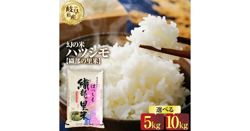 【ふるさと納税】令和6年産 ハツシモ 5kg 10kg 選べる 新米 2024年 幻の 米 こめ ごはん 白米 岐阜県産 本巣市 お米 精米 おにぎり 弁当 【織部の里米(R)】寿司 おすすめ もとすファーム [1444] [1445] 9000円 先行予約 先行受付