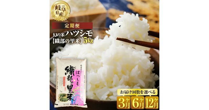 【ふるさと納税】【 定期便 】令和6年産 新米 先行予約 ハツシモ 5kg 回数 選べる 3回 6回 12回 【織部の里米(R)】 米 こめ ごはん 白米 岐阜県産 本巣市 お米 精米 寿司 幻の米 岐阜県産 もとすファーム [mt132] 27000円