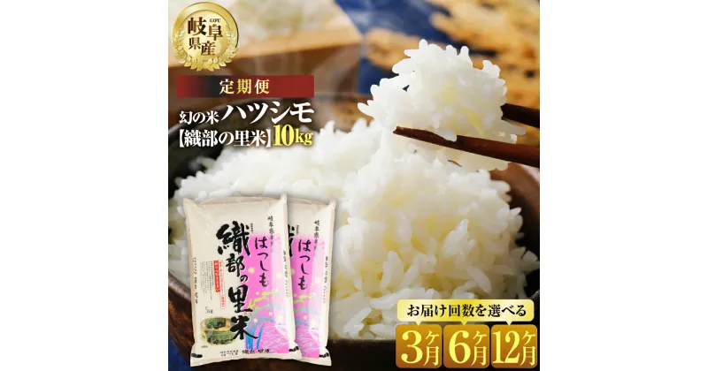 【ふるさと納税】【 定期便 】令和6年産 新米 先行予約 ハツシモ 10kg 回数 選べる 3回 6回 12回 【織部の里米(R)】 米 こめ ごはん 白米 岐阜県産 本巣市 お米 精米 和食 寿司 幻の米 岐阜県産 もとすファーム [mt135] 54000円