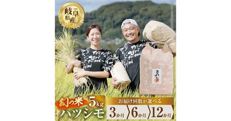 【ふるさと納税】【 定期便 】選べる ハツシモ 5kg × 3回 6回 12回 3か月 6か月 12ヶ月 令和6年産 2024年 2025年 先行予約 選べる 米 こめ ごはん 白米 岐阜県産 本巣市 お米 精米 甘い 和食 寿司 アグリフレンドホリグチ [mt175]