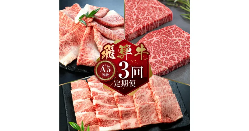 【ふるさと納税】【定期便】A5等級 飛騨牛 3回定期便 I 3ヶ月 a5 5等級 牛肉 肉 和牛 冷凍 焼肉 やきにく ヤキニク ステーキ すき焼き すきやき スキヤキ 定期便 お楽しみ 食べ比べ 小川ミート 本巣市 岐阜 [mt300] 50000円 五万円