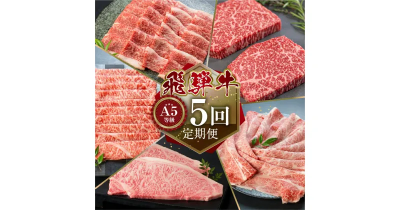 【ふるさと納税】【定期便】A5等級 飛騨牛 5回定期便 I 5ヶ月 牛肉 肉 和牛 冷凍 焼肉 やきにく ヤキニク ステーキ しゃぶしゃぶ すき焼き すきやき スキヤキ 定期便 お楽しみ 食べ比べ 小川ミート 岐阜 本巣市 [mt301] 106000円