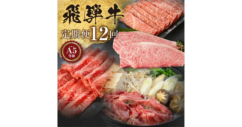 【ふるさと納税】【定期便】A5等級 飛騨牛 12回定期便 I 12ヶ月 1年 年間 牛肉 肉 和牛 冷凍 焼肉 ステーキ しゃぶしゃぶ すき焼き すきやき 定期便 お楽しみ 食べ比べ 小川ミート 岐阜 本巣市 [mt302] 322000円