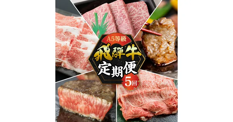 【ふるさと納税】【定期便】A5 飛騨牛 5回 定期便 計 2.65kg 5ヶ月 食べ比べ 牛肉 肉 和牛 国産牛 黒毛和牛 焼肉 やきにく ヤキニク すき焼き すきやき しゃぶしゃぶ ステーキ 赤身 霜降り お楽しみ トキノ屋食品 本巣市 [mt354] 95000円