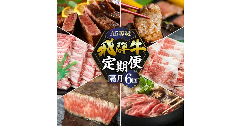 【ふるさと納税】【定期便】A5 飛騨牛 6回 隔月 定期便 2ヶ月に1回お届け 食べ比べ 牛肉 肉 和牛 国産牛 黒毛和牛 焼肉 すき焼き すきやき しゃぶしゃぶ ステーキ 赤身 霜降り お楽しみ トキノ屋食品 本巣市 [mt355] 161000円