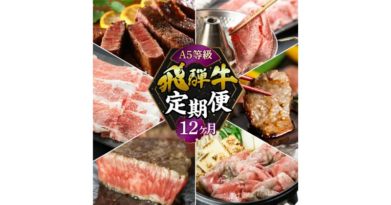 【ふるさと納税】【定期便】A5 飛騨牛 12回 定期便 12ヶ月 毎月 食べ比べ 牛肉 肉 和牛 国産牛 黒毛和牛 焼肉 すき焼き すきやき しゃぶしゃぶ ステーキ 赤身 霜降り お楽しみ トキノ屋食品 本巣市 [mt356] 268000円