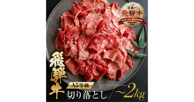 【ふるさと納税】訳あり 飛騨牛 切り落とし 【 400g 500g 1kg 1.5kg 2kg 】 | 牛肉 肉 和牛 国産牛 肉 焼肉 すき焼き a5 不揃い 小分け 冷凍 日付指定 トキノ屋食品 本巣市 訳有 [mt368] 10000円 一万円