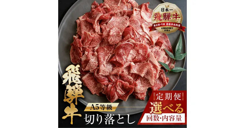 【ふるさと納税】 【訳あり】 [A5等級] 飛騨牛 切り落とし 定期便 | 400g 500g 1kg 3回 5回 6回 12回 半年 1年 年間 楽天限定 牛肉 肉 和牛 国産牛 黒毛和牛 牛肉 肉 焼肉 すき焼き a5 不揃い 小分け 冷凍 本巣市 岐阜 トキノ屋 食品 [mt403] 30000円 三万円