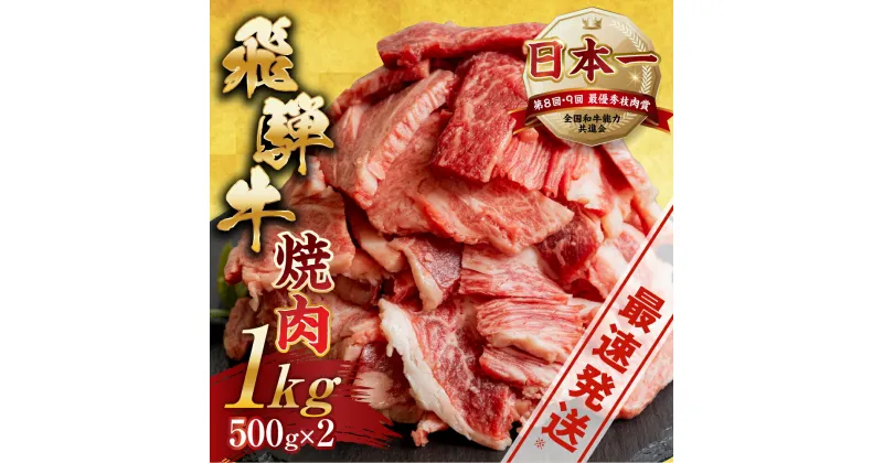 【ふるさと納税】訳あり 飛騨牛 焼肉 切り落とし 500g × 2 計 1kg | 牛肉 肉 切落し わけあり 不揃い 小分け 冷凍 着日指定 期間限定 本巣市 トキノ屋 BBQ バーベキュー 人気 焼き肉 楽天限定 [mt427] 25000円