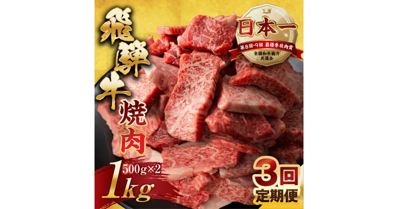 【ふるさと納税】【訳あり】定期便 飛騨牛 焼肉 切り落とし 500g × 2 計 1kg 3回お届け | 定期便 お楽しみ 牛肉 肉 切落し 和牛 国産牛 黒毛和牛 牛肉 肉 わけあり ワケアリ 不揃い 小分け 冷凍 本巣市 トキノ屋 食品 訳有 [mt439] 75000円