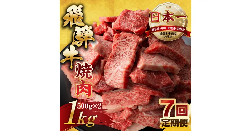 【ふるさと納税】【訳あり】定期便 飛騨牛 焼肉 切り落とし 500g × 2 計 1kg 7回お届け | 定期便 お楽しみ 牛肉 肉 切落し 和牛 国産牛 黒毛和牛 牛肉 肉 わけあり ワケアリ 不揃い 小分け 冷凍 本巣市 トキノ屋 食品 訳有 [mt443] 175000円