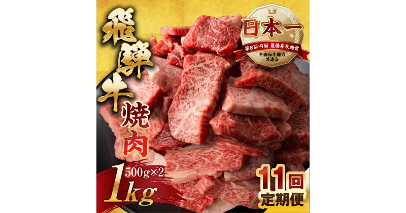 【ふるさと納税】【訳あり】定期便 飛騨牛 焼肉 切り落とし 500g × 2 計 1kg 11回お届け | 定期便 お楽しみ 牛肉 肉 切落し 和牛 国産牛 黒毛和牛 牛肉 肉 わけあり ワケアリ 不揃い 小分け 冷凍 本巣市 トキノ屋 食品 訳有 [mt447] 275000円