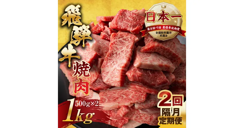 【ふるさと納税】【訳あり】定期便 飛騨牛 焼肉 切り落とし 500g × 2 計 1kg 2回隔月お届け | 定期便 お楽しみ 牛肉 肉 切落し 和牛 国産牛 黒毛和牛 牛肉 肉 わけあり ワケアリ 不揃い 小分け 冷凍 本巣市 トキノ屋 食品 訳有 [mt449] 50000円 五万円