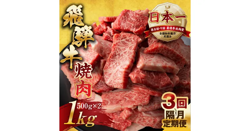 【ふるさと納税】【訳あり】定期便 飛騨牛 焼肉 切り落とし 500g × 2 計 1kg 3回隔月お届け | 定期便 お楽しみ 牛肉 肉 切落し 和牛 国産牛 黒毛和牛 牛肉 肉 わけあり ワケアリ 不揃い 小分け 冷凍 本巣市 トキノ屋 食品 訳有 [mt450] 75000円