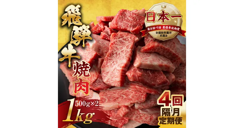 【ふるさと納税】【訳あり】定期便 飛騨牛 焼肉 切り落とし 500g × 2 計 1kg 4回隔月お届け | 定期便 お楽しみ 牛肉 肉 切落し 和牛 国産牛 黒毛和牛 牛肉 肉 わけあり ワケアリ 不揃い 小分け 冷凍 本巣市 トキノ屋 食品 訳有 [mt451] 100000円