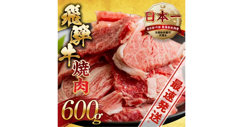 【ふるさと納税】【訳あり】飛騨牛 焼肉 切り落とし 600g | 牛肉 肉 切落し わけあり ワケアリ 不揃い 冷凍 着日指定 すぐ届く 本巣市 トキノ屋 食品 訳有 バーベキュー [mt505] 15000円