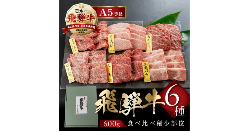 【ふるさと納税】 [A5 等級] 飛騨牛 焼肉 6種 食べ比べ 飛騨牛 焼肉 高級 肉 牛肉 和牛 黒毛和牛 霜降り 赤身 ギフト 贈答 小川ミート 本巣市[mt1551] 30000円 三万円