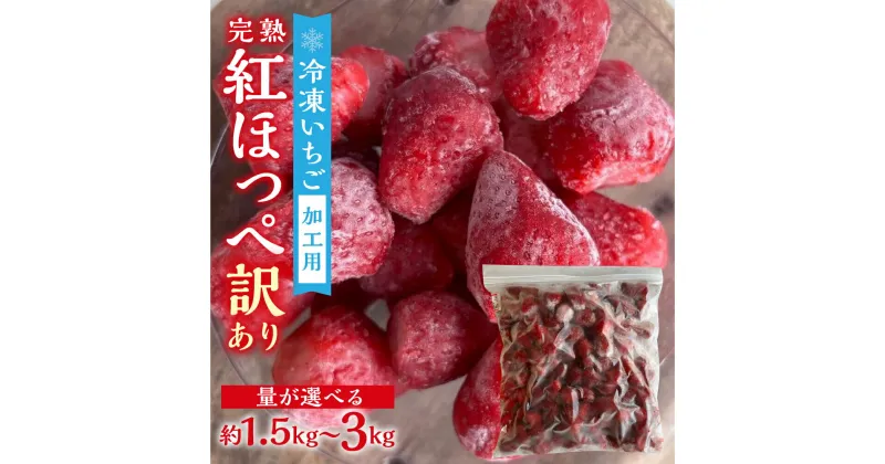 【ふるさと納税】 加工向きな 冷凍いちご 紅ほっぺ 1.5kg ~ 3kg 簡易梱包 サイズ 不揃い のため 訳あり 訳アリ フルーツ 果物 苺 いちご イチゴ アイス シャーベット family農園 子ども 業務用 家庭用 国産 産地直送 岐阜県 8000円 1万 [mt1561] 10000円 一万円