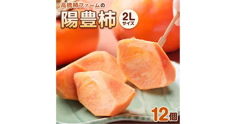 【ふるさと納税】[先行予約] 令和6年産 高橋柿ファームの陽豊柿 2Lサイズ 12個入り《10月下旬より発送予定》[1001]｜かき 陽豊 フルーツ カキ 果物 くだもの 産地直送 岐阜県 本巣市 12000円