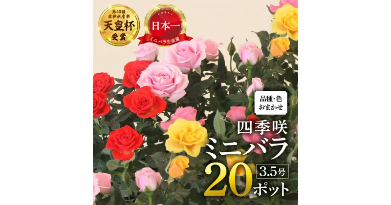 【ふるさと納税】産地直送 おまかせミニバラ20鉢詰め合わせ [11月～3月 お届け] 大容量 品種おまかせのため 訳あり 訳アリ 四季咲き バラ 花 ガーデニング 生産量 日本一 天皇杯 3.5号 ポット苗 ※沖縄 離島配送不可 薔薇 セントラルローズ [mt1546] 25000円