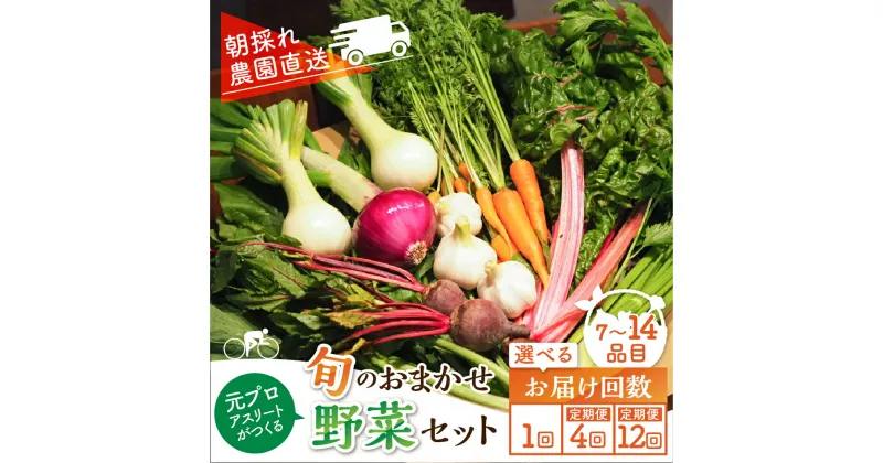 【ふるさと納税】季節の野菜セット 7～14品目 選べるお届け回数 1回 年4回 12回 お届け 定期便 品目おまかせ のため 訳あり 訳アリ BBQ 春 夏 秋 冬 野菜 岐阜県産 本巣市 朝採り 産地直送 新鮮 数量限定 冷蔵 めぐるファーム [mt1502] 10000円 1万円 40000円 120000円