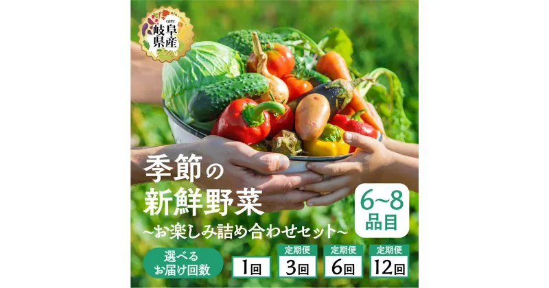 【ふるさと納税】季節の野菜セットA 6～8品目 選べる お届け回数 1回 3回 6回 12回 お届け 定期便 3か月 6か月 12ヶ月 品目おまかせ BBQ 春 夏 秋 冬 野菜 料理 自宅用 岐阜県産 本巣市 新鮮 やさい 数量限定 冷蔵 道の駅 織部の里 [mt1587] 8000円