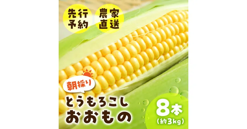 【ふるさと納税】《先行予約》2025年5月～以降発送 とうもろこし 8本 約3kg おおもの オオモノ トウモロコシ 黄色 農園 産地直送 野菜 BBQ バーベキュー 簡易梱包 岐阜県産 本巣市 朝採れ 新鮮 やさい 数量限定 冷蔵 わくわくファーム 令和7年産 [mt1601] 10000円 1万円