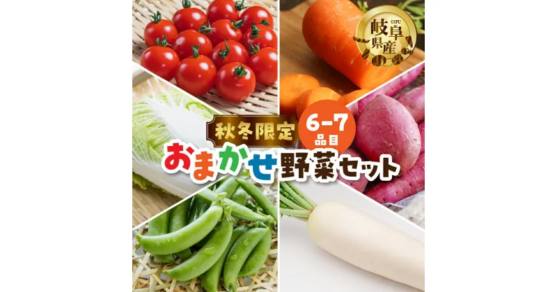 【ふるさと納税】《先行予約》2024年10月～以降発送 秋冬野菜セット 6-～7品目 期間限定 農園 産地直送 野菜 簡易梱包 岐阜県産 本巣市 朝採れ 新鮮 やさい 数量限定 冷蔵 わくわくファーム [mt1603] 8000円