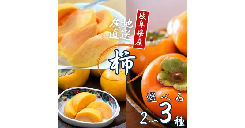 【ふるさと納税】令和6年産 [定期便] 選べる 柿 2 or 3種食べ比べ 約3kg or 4.5kg 太秋柿 陽豊柿 富有柿 2L ～ 3Lサイズ 各5-6個 入り《10月上旬より収穫でき次第発送 かき お楽しみ フルーツ カキ 果物 くだもの 産地直送 先行予約 岐阜県 本巣市 高橋柿ファーム