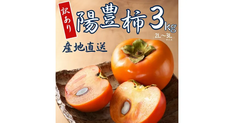 【ふるさと納税】【 訳あり 】令和6年産 陽豊柿 3kg ( 2L~ 3L ) 10-12個 カキ かき 果物 くだもの フルーツ サイズ不揃い 表面 キズ 色ムラ 家庭用規格 のため 訳アリ わけあり 自宅用 家庭用 岐阜県 本巣市 高橋柿ファーム 先行予約 11月上旬～ 発送予定 [mt1662] 8000円