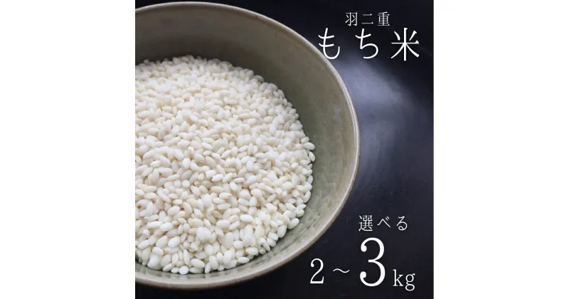 【ふるさと納税】《 訳あり 》 羽二重 もち米 選べる 2kg or 3kg 令和5年産 のため 訳あり 訳アリ 古米 もち 餅 正月 年末 家族 おもち 米 ごはん 岐阜県産 本巣市 アグリフレンド [mt1686]