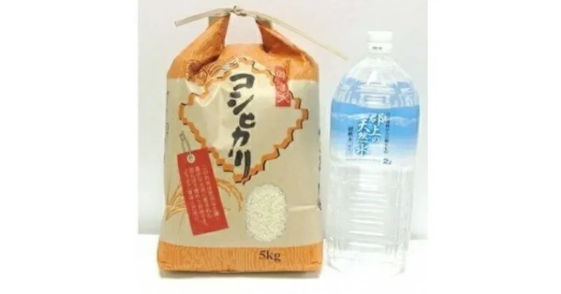 【ふるさと納税】こしひかりセットA　令和6年産　新米　発送9月下旬〜