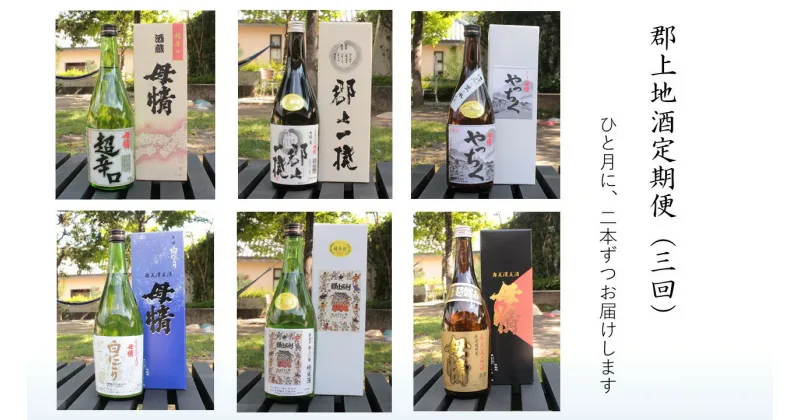 【ふるさと納税】郡上地酒定期便（3回）　日本酒　にごり酒　本醸造　辛口　母情