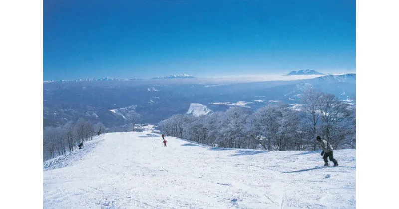 【ふるさと納税】郡上市内スキー場リフト1日券(1枚)