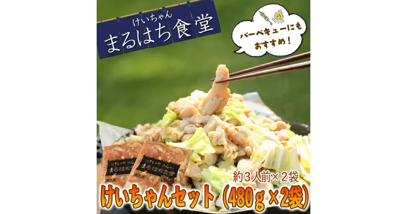 【ふるさと納税】鶏ちゃん発祥の名店「まるはち食堂」こだわり抜かれた下呂の味！！けいちゃん 480g×2（約6人前）冷凍　下呂温泉 鶏肉 B級グルメ 人気 ご飯のお供 バーベキュー アウトドア まるはち ケイちゃん 12000円 岐阜県 下呂市